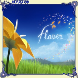 Flower ( )