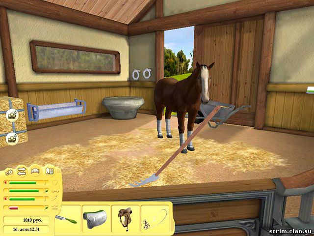  .   / My Horse