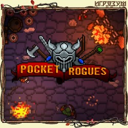 Pocket Rogues (Русская версия)