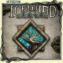 Icewind Dale: Enhanced Edition ( )