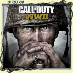 Call of Duty: WWII ( )