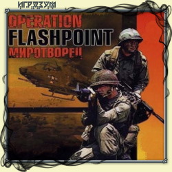 Operation Flashpoint: 
