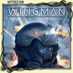 Project Wingman ( )