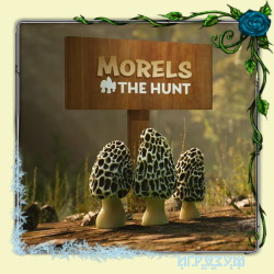 Morels: The Hunt ( )