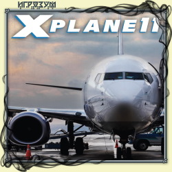 X-Plane 11 ( )