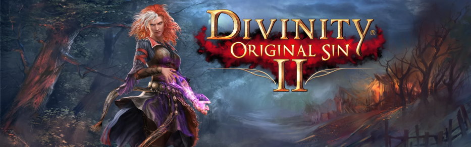 Divinity Original Sin 2. Definitive Edition